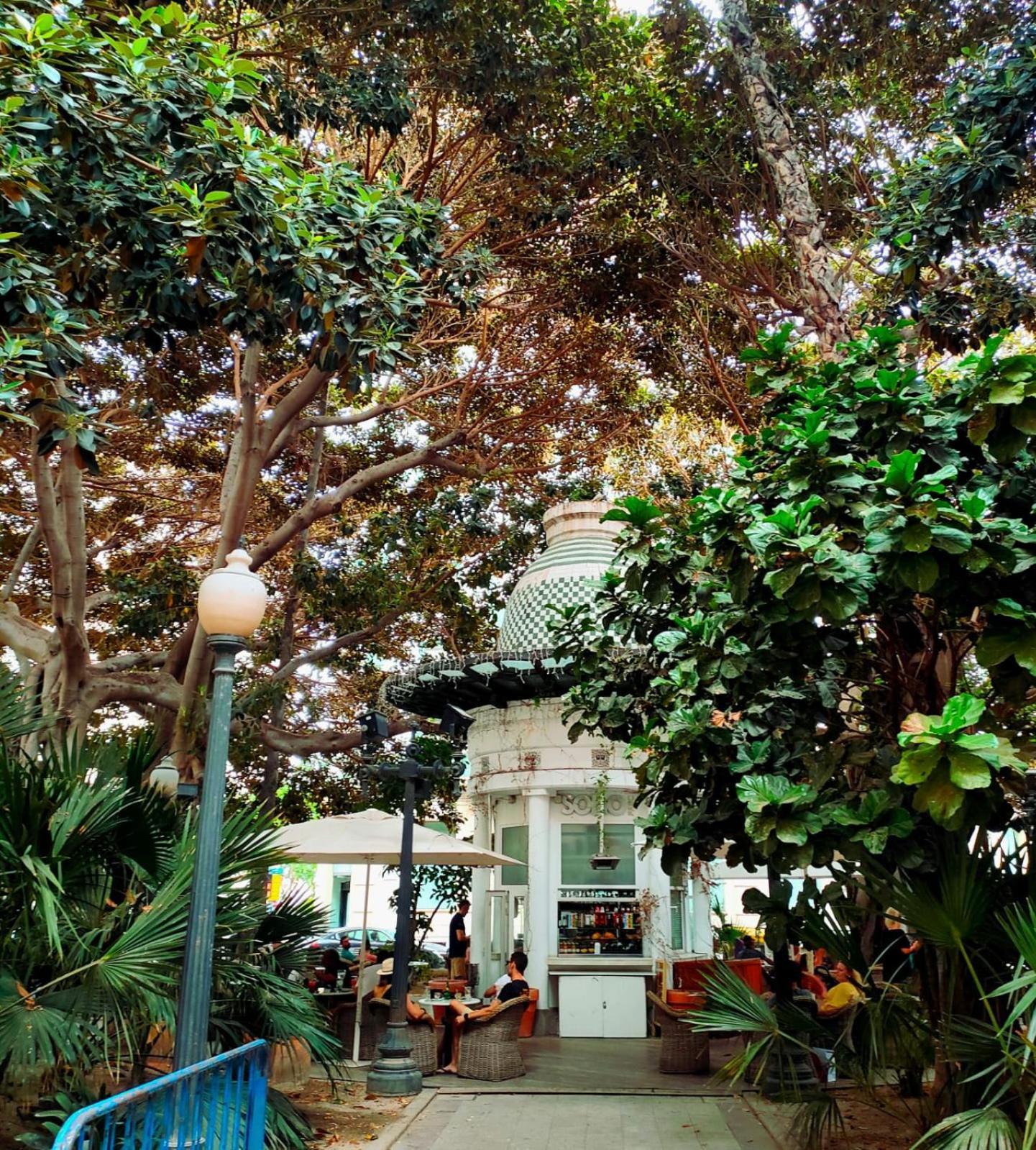 Апартаменти Casa De Buenos Dias Торрев'єха Екстер'єр фото